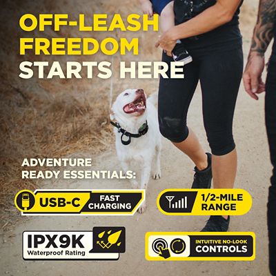 Image showing 8 th Dogtra 200IQ 1/2 Mile 1-Dog E-Collar