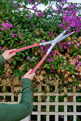 Image showing  PrecisionCUT Aluminum Hedge Shears