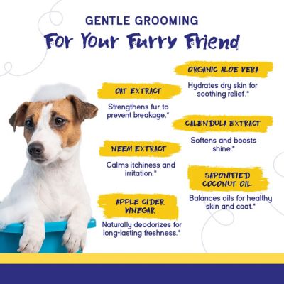 Image showing  Complete Care 4-in-1 Oatmeal Milk/Honey Scented Shampoo and Conditioner for Dogs, Moisturizes and Deodorizes, 16 oz.