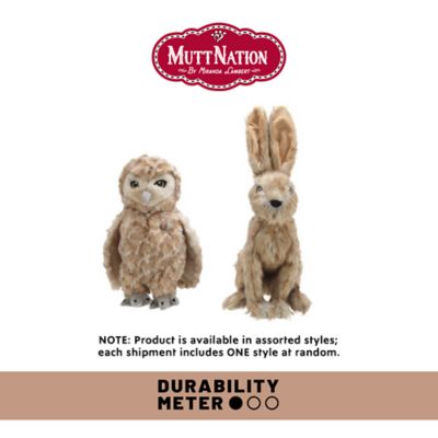 Image showing  Desert Animal Plush Dog Toy, Assorted Styles