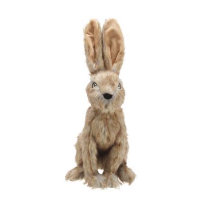 Image showing  Desert Animal Plush Dog Toy, Assorted Styles