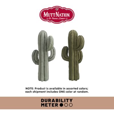 Image showing  Jumbo Cactus Plush Dog Toy, Assorted Colors