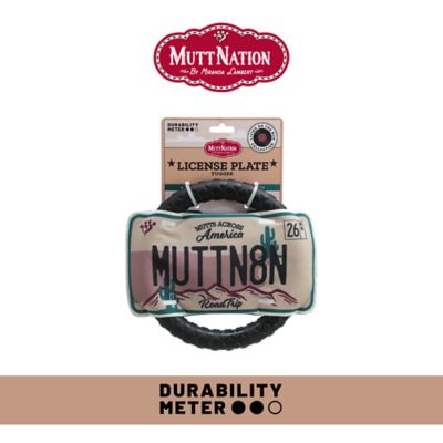 Image showing  License Plate Durable Dog Chew Toy