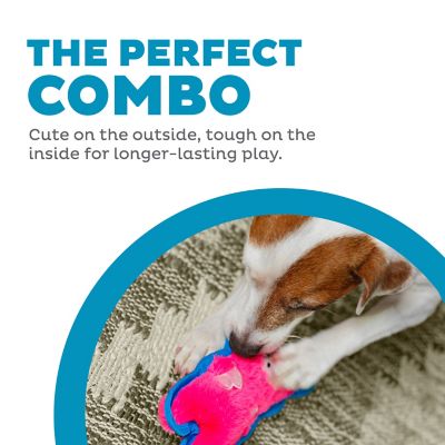 Image showing  Durablez Plush Dog Toys, Assorted Styles