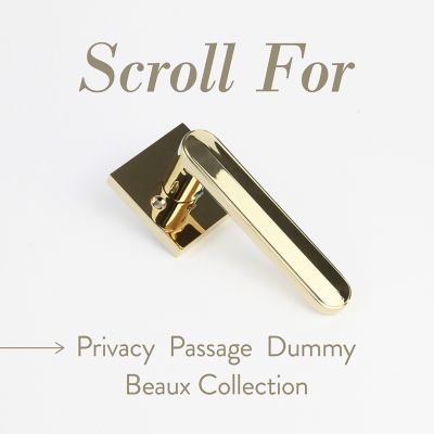 Image showing  Beaux Combined Modern Heavy Duty Interior Door Handle, MB-1111PVGD-LH