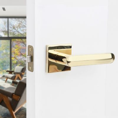 Image showing 5 th McBowery Beaux Combined Modern Heavy Duty Interior Door Handle, MB-1111PVGD-LH