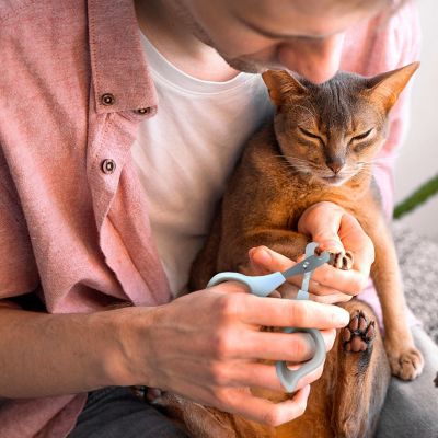 Image showing  Pet Nail Clipper, Eco-Friendly Grooming Tool for Dogs and Cats, OPCNCL01-BEI