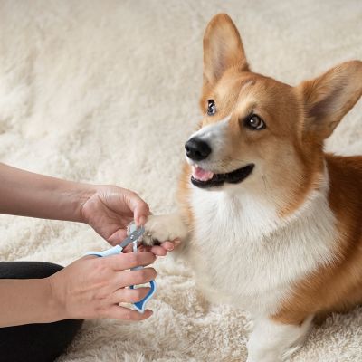 Image showing  Pet Nail Clipper, Eco-Friendly Grooming Tool for Dogs and Cats, OPCNCL01-BLU