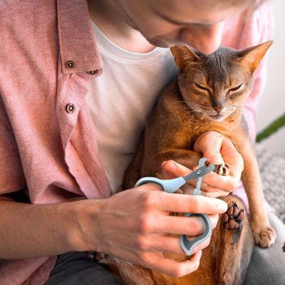 Image showing  Pet Nail Clipper, Eco-Friendly Grooming Tool for Dogs and Cats, OPCNCL01-GRY