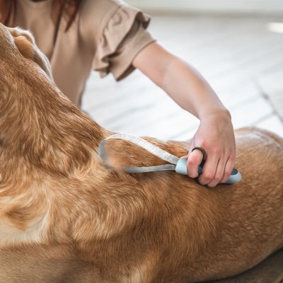 Image showing  Pet Dog/Cat Deshedding Blade, Eco-Friendly Grooming Tool