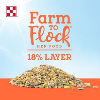 Image showing  Farm to Flock Layer