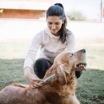 Image showing  Double-Sided Pin Comb for Pets, Eco-Friendly Grooming Tool for Dogs and Cats, OPDSPCM07-GRY