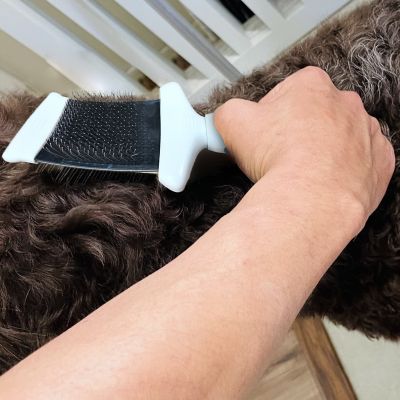 Image showing  Double-Sided Flexible Slicker Brush for Pets, Eco-Friendly Grooming Tool for Dogs and Cats, OPFXSLB09-BLU