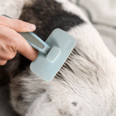 Image showing  Self-Cleaning Slicker Brush for Pets, Retractable, Eco-Friendly Grooming Tool for Dogs & Cats, OPLRSLB11-BEI