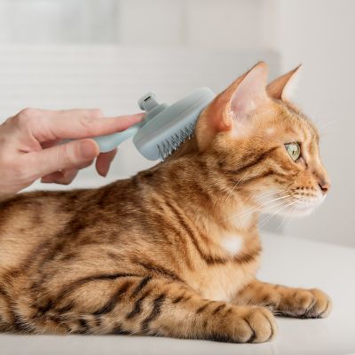 Image showing  Self-Cleaning Slicker Brush for Pets, Retractable, Eco-Friendly Grooming Tool for Dogs & Cats, OPLRSLB11-GRY