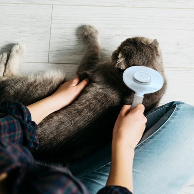 Image showing  Self-Cleaning Pin Slicker Brush, Retractable Head, Eco-Friendly Grooming Tool for Dogs & Cats, OPMSLB10-BEI