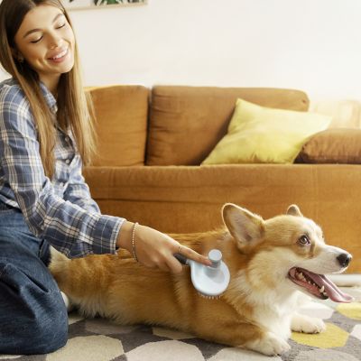 Image showing  Self-Cleaning Pin Slicker Brush, Retractable Head, Eco-Friendly Grooming Tool for Dogs & Cats, OPMSLB10-BEI