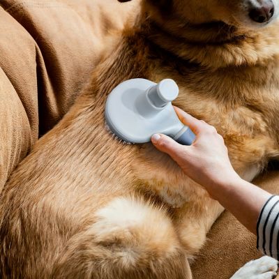 Image showing  Self-Cleaning Pin Slicker Brush, Retractable Head, Eco-Friendly Grooming Tool for Dogs & Cats, OPMSLB10-BLU