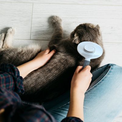 Image showing  Self-Cleaning Pin Slicker Brush, Retractable Head, Eco-Friendly Grooming Tool for Dogs & Cats, OPMSLB10-GRY