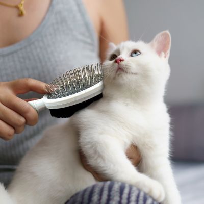 Image showing  Double-Sided Round Grooming Brush for Pets, Eco-Friendly Brush for Dogs and Cats, OPODGRB04-BEI