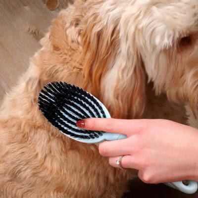 Image showing 5 th Ocean Plastic by PT Double-Sided Round Grooming Brush for Pets, Eco-Friendly Brush for Dogs and Cats, OPODGRB04-BEI
