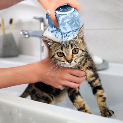 Image showing  Eco-Friendly Soap Dispensing Pet Scrub Brush, Assorted Colors, Sustainable Grooming Tool for Dogs and Cats