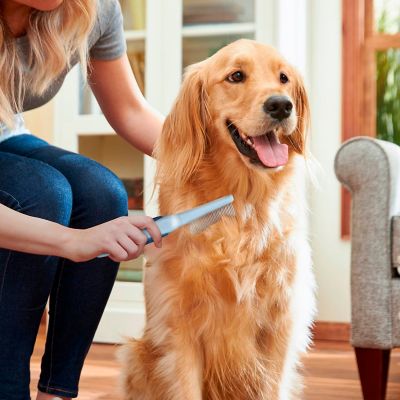 Image showing  Single-Sided Pin Comb Brush for Pets, Eco-Friendly Grooming Tool for Dogs and Cats, OPSSPCM08-BLU