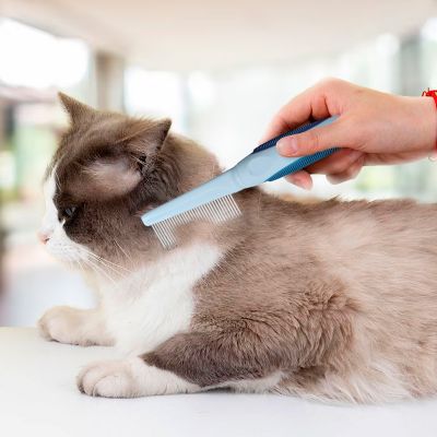 Image showing  Single-Sided Pin Comb Brush for Pets, Eco-Friendly Grooming Tool for Dogs and Cats, OPSSPCM08-BLU