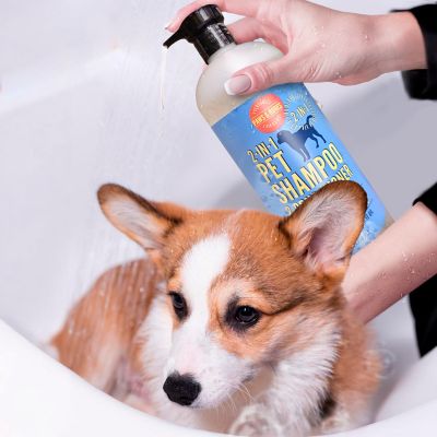 Image showing  2-in-1 Pet Scented Pet Shampoo & Conditioner, Moisturizing & Nourishing Dog & Cat Wash, 950BT-COC