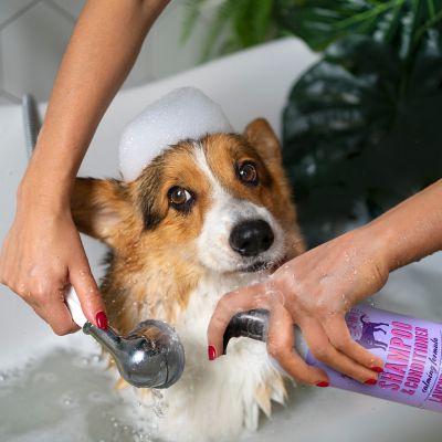 Image showing  2-in-1 Pet Scented Pet Shampoo & Conditioner, Moisturizing & Nourishing Dog & Cat Wash, 950BT-LAV