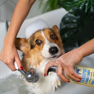 Image showing  2-in-1 Pet Scented Pet Shampoo & Conditioner, Moisturizing & Nourishing Dog & Cat Wash, 950BT-VAN