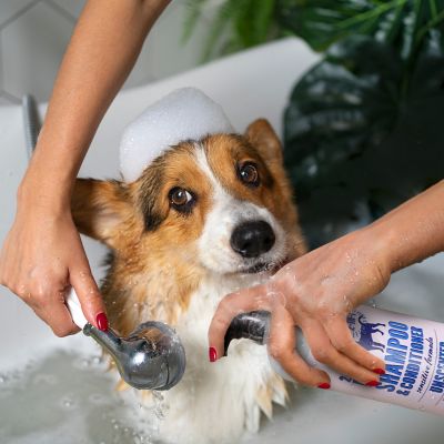 Image showing  2-in-1 Pet Scented Pet Shampoo & Conditioner, Moisturizing & Nourishing Dog & Cat Wash, 950BT-USC