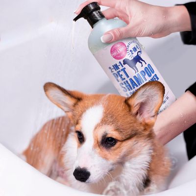 Image showing 5 th Paws & Bones 2-in-1 Pet Scented Pet Shampoo & Conditioner, Moisturizing & Nourishing Dog & Cat Wash, 950BT-USC