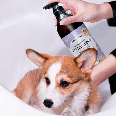 Image showing  Anti-Itch Oatmeal Pet Shampoo for Dogs & Puppies Dye-Free, Soothing & Moisturizing Formula, 950CDG-LVN