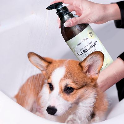 Image showing 5 th Paws & Bones Anti-Itch Oatmeal Pet Shampoo for Dogs & Puppies Dye-Free, Soothing & Moisturizing Formula, 950CDG-CAL