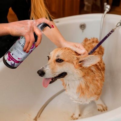 Image showing  Soothing Pet Shampoo for Dogs & Puppies Cherry Vanilla Scent, Aloe & Vitamin E, Gentle & Moisturizing Formula
