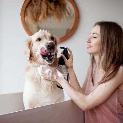 Image showing  Aloe & Vitamin E Extra Gentle Pet Shampoo 32 fl oz. Dye Free