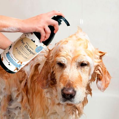 Image showing  Aloe & Vitamin E Extra Gentle Pet Shampoo 32 fl oz. Dye Free