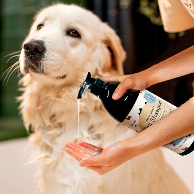 Image showing 5 th P.T. Supply Co. Aloe & Vitamin E Extra Gentle Pet Shampoo 32 fl oz. Dye Free