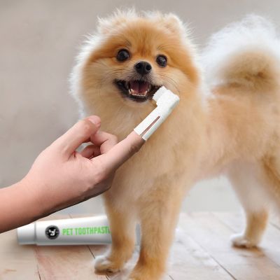 Image showing  Eco-Friendly Pet Dental Care Kit, Toothbrush & Toothpaste Made with Sustainable Wheat Straw