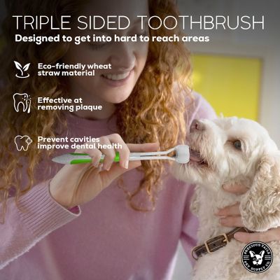 Image showing  Triple-Sided Pet Toothbrush Kit, Eco-Friendly Wheat Straw Material for Dogs and Cats