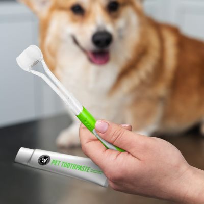 Image showing  Triple-Sided Pet Toothbrush Kit, Eco-Friendly Wheat Straw Material for Dogs and Cats