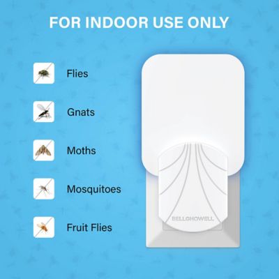 Image showing  ROGUE Plug In Insect Trap Refill Cartridge, 4-Pack