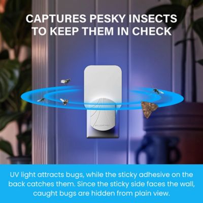 Image showing  ROGUE Plug In Electric Insect Trap