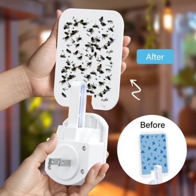 Image showing  ROGUE Plug In Electric Insect Trap
