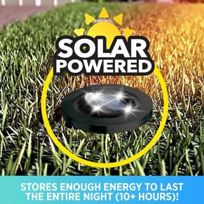 Image showing  40-Lumen 8 Integrated LED Swivel Path Lights, Black/Stainless Steel, 10-Pack