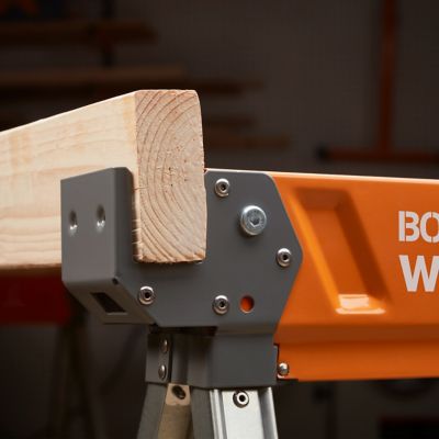 Image showing  Workhorse XT