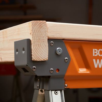 Image showing 5 th Bora Workhorse XT