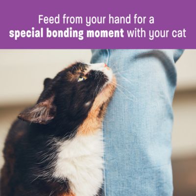 Image showing  Lickable Treats Soft Puree Natural Grain Free Cat Treats, Chicken, Contains 6 - 0.4 Ounce Tubes