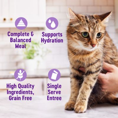 Image showing  Appetizing Entres Flaked, Shredded and Mousse Adult Wet Cat Food, Natural, Protein-Rich, Grain Free, 1.4 OZ Pouch 8PK